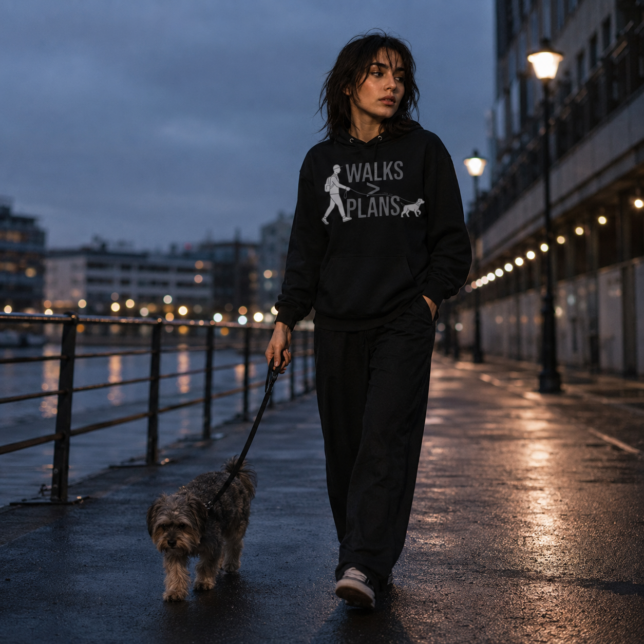 WALKS > PLANS Hoodie